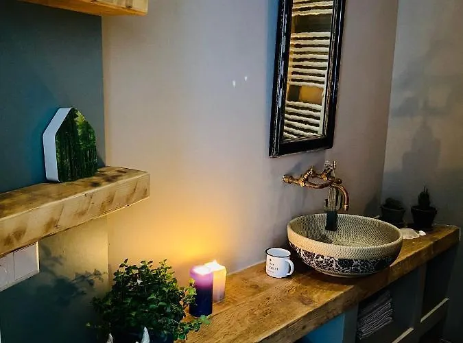 Tiny Beachhouse Den Haag