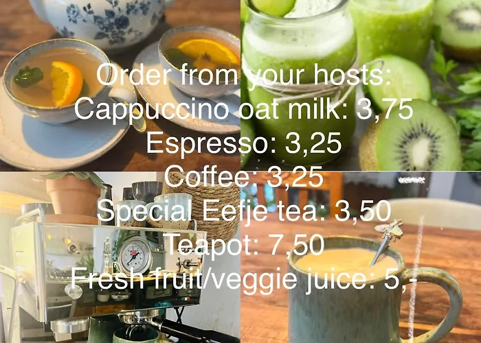 Tiny Beachhouse Den Haag